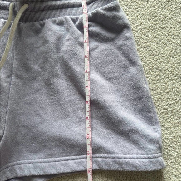 Aritzia Sunday Best Shorts - Picture 6 of 6